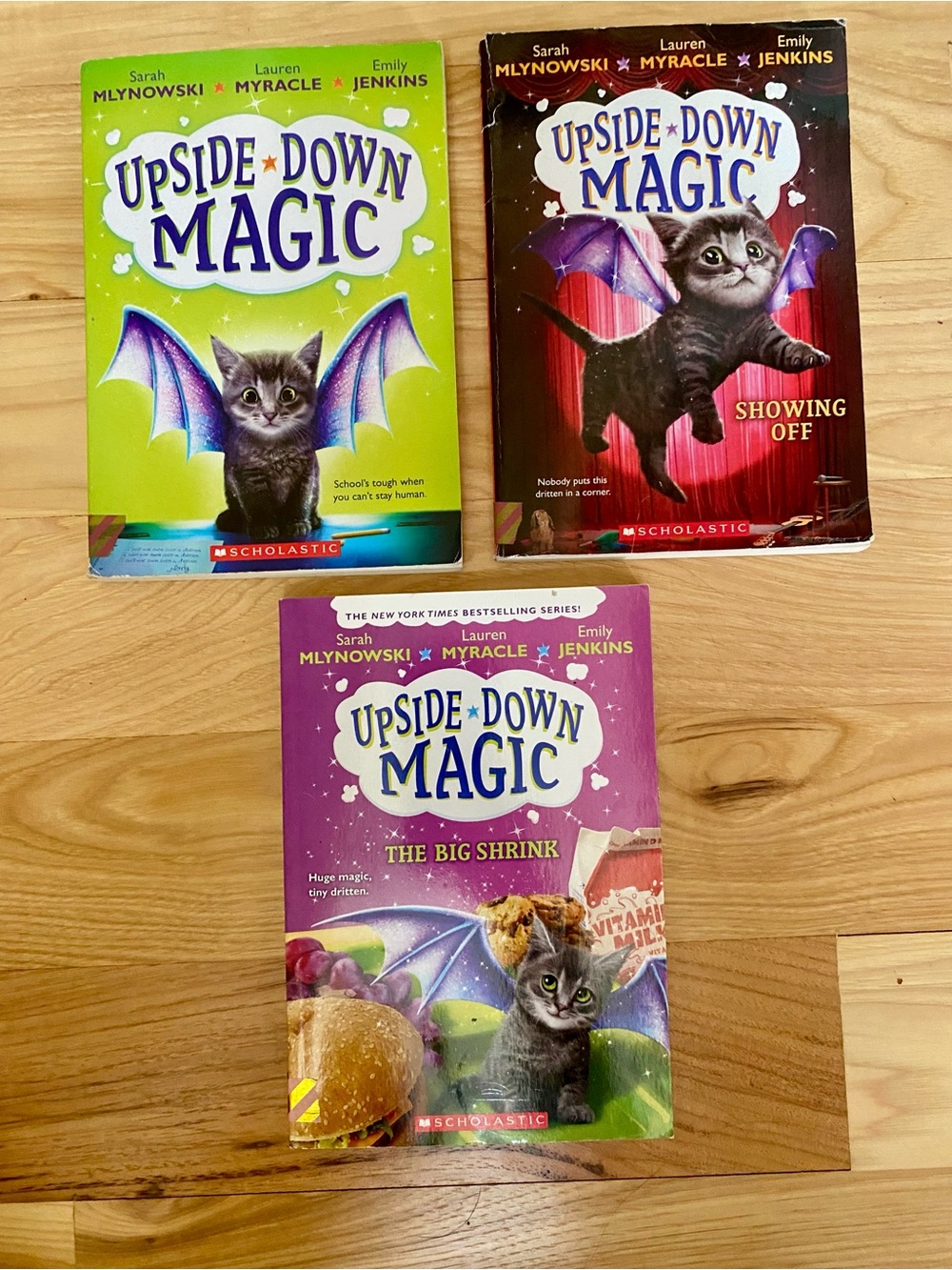 Upside Down Magic Books Series Lot of 3 Books Used